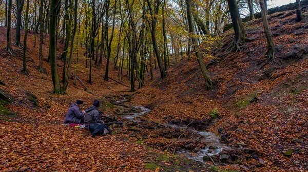 Ramsbottom - Landscapes