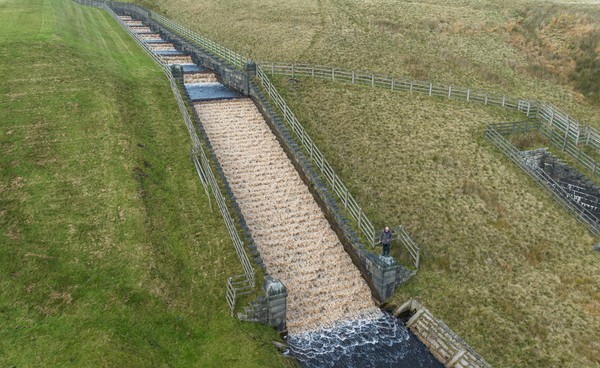 Rishworth Moor - Landscapes