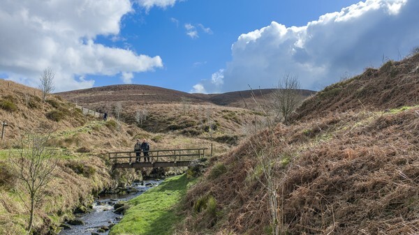 Cat and Fiddle - Landscapes