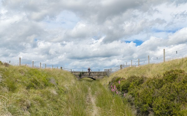 Stanage Edge - Landscapes