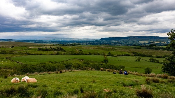 Hayfield - Landscapes