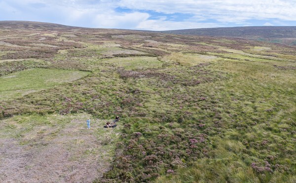 Forest of Bowland - Landscapes