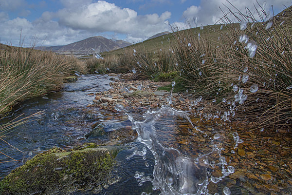 Holme Wood Bothy Loweswater National Trust Holme wood Bothy  Loweswater Valley