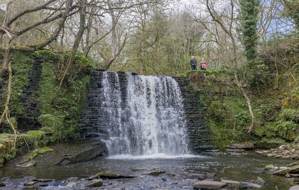 Ashworth Valley - Landscapes