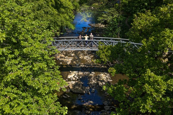 Forest of Bowland - Landscapes
