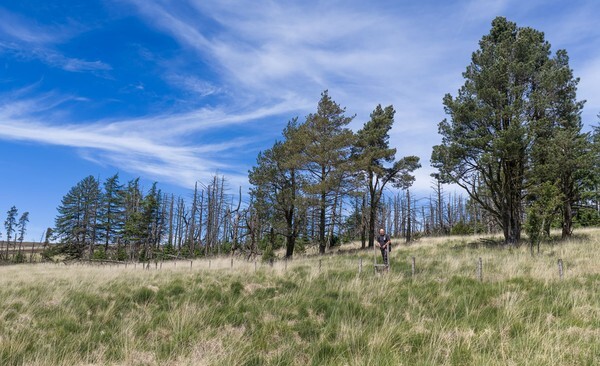Widdop Res - Landscapes