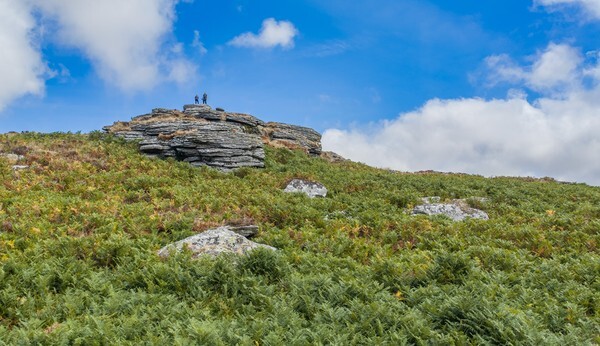 Dartmoor - Landscapes