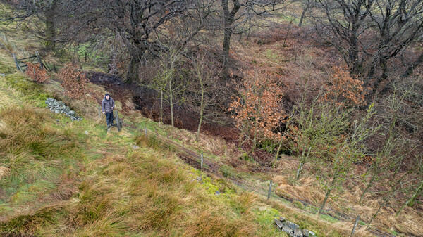 Two Lads Moor - Landscapes