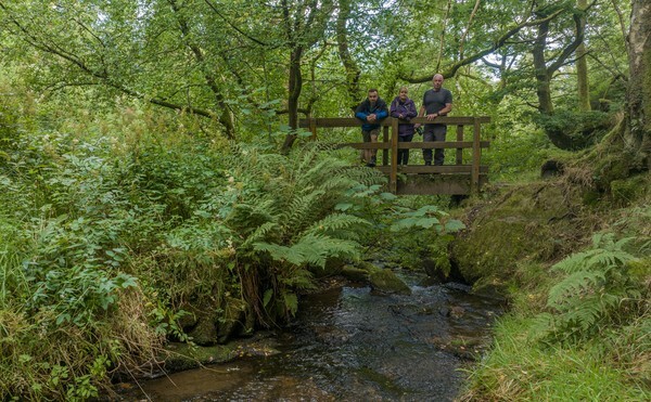 Holmfirth - Landscapes