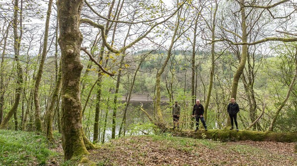 Forest of Bowland - Landscapes