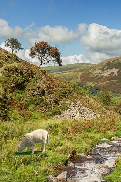 Holmewood Bothy Loweswater Cumbria National Trust Holmewood Petercostellophotography.com lake district Bothys Watergate Farm