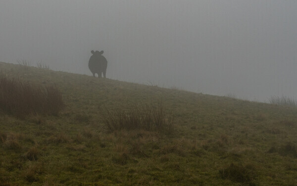 Loweswater - Landscapes