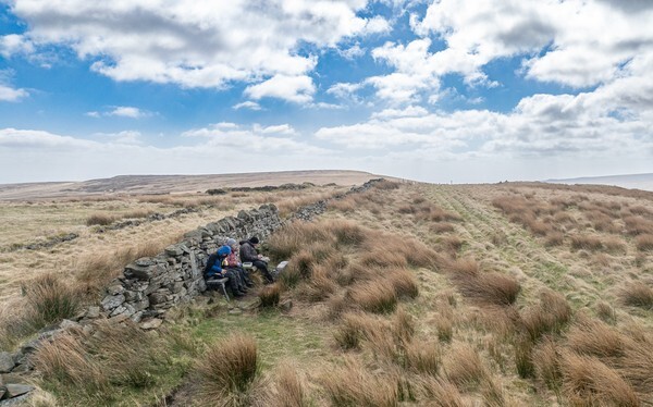 Belmont - Landscapes