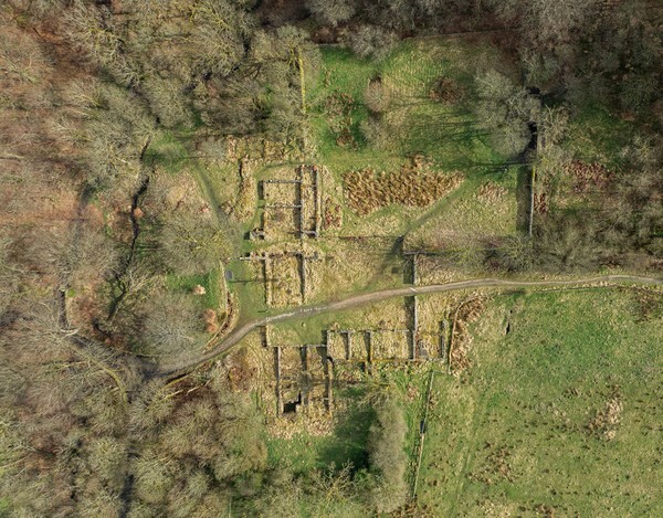 Belmont - Landscapes