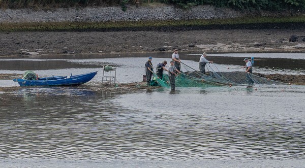 Berick Upon Tweed - Landscapes