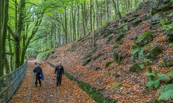 Baitings Reservoir - Landscapes
