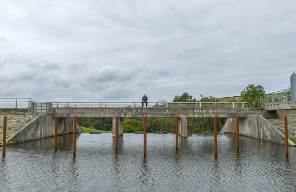 Brierfield - Landscapes