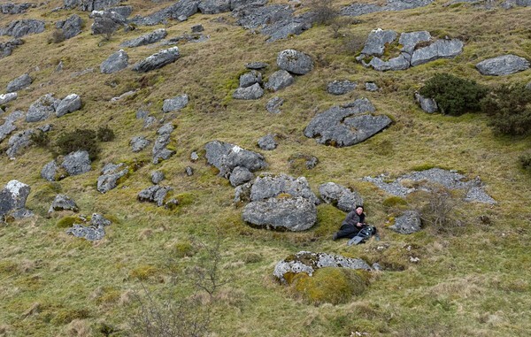 Newbiggin Fell - Landscapes
