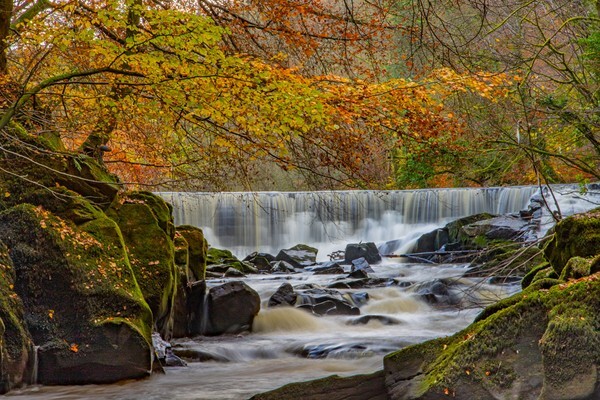 Pleasngton - miscellaneous