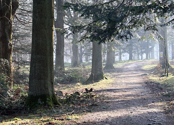 Holmewood Bothy Loweswater Cumbria National Trust Holmewood Petercostellophotography.com lake district Bothys Watergate Farm
