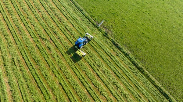 Last Cut - Landscapes