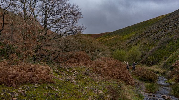 Hare Hill - Landscapes