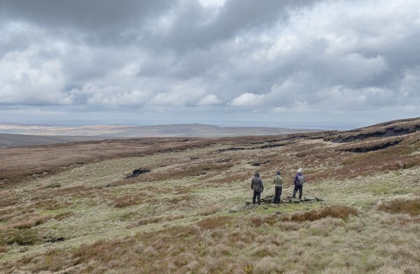 Black Hill - Landscapes