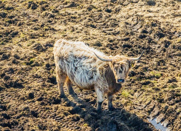 Marsden - Landscapes