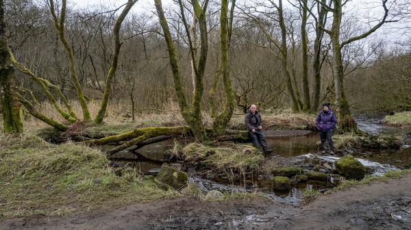 Belmont - Landscapes