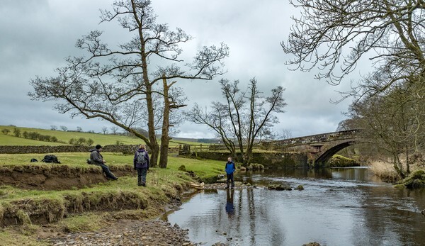 Forest of Bowland - Landscapes