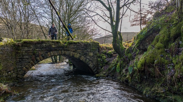 Cheesden - Landscapes