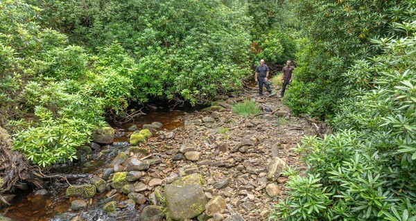 Woodhead - Landscapes