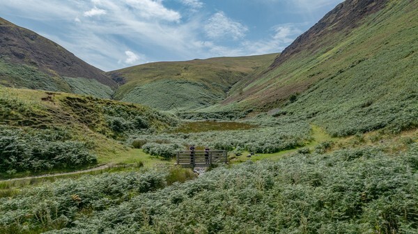Loweswater - Landscapes