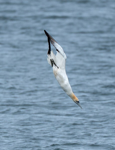 Isle of Man - miscellaneous