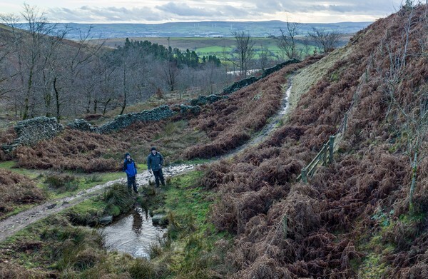 Holmfirth - Landscapes