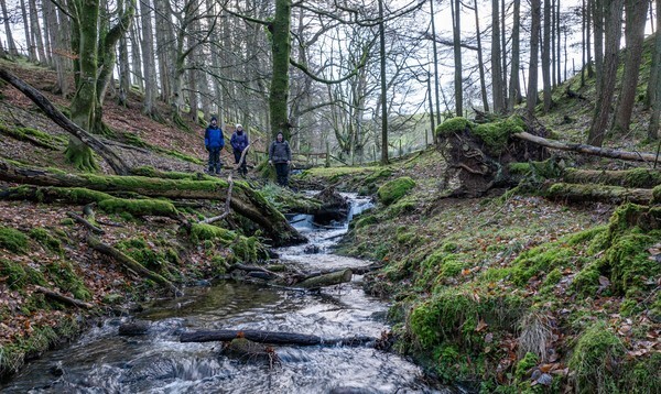 Loweswater - Landscapes