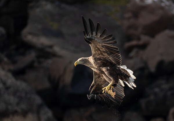 Isle of Skye - Landscapes