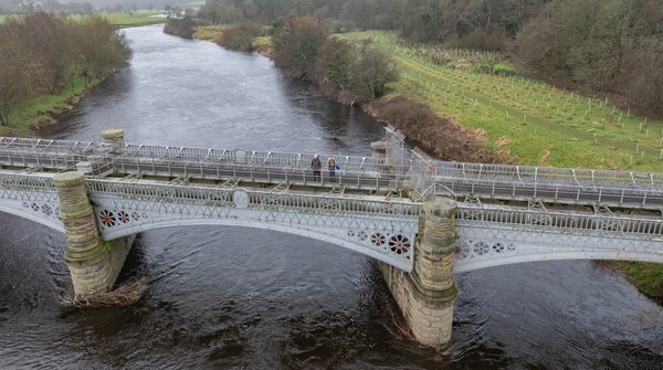 River Loon - Landscapes