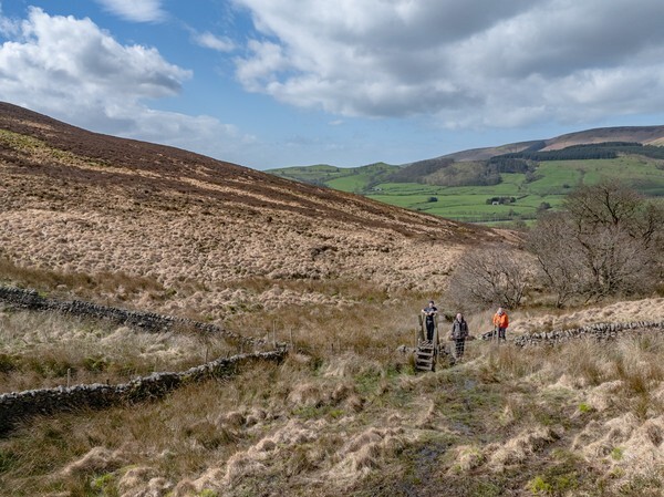 Dunsop Bridge - Landscapes
