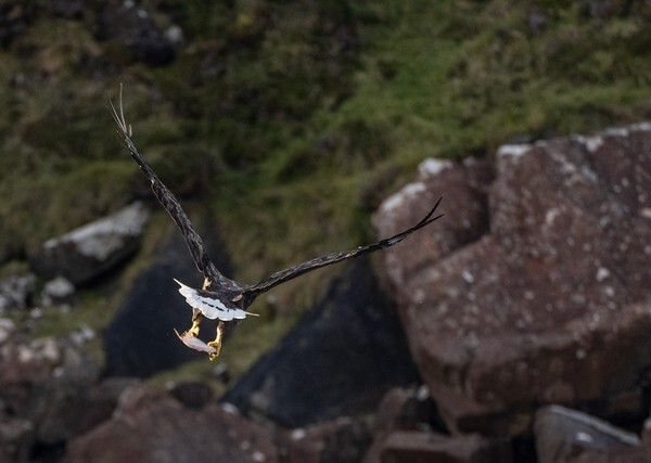 Isle of Skye - Landscapes