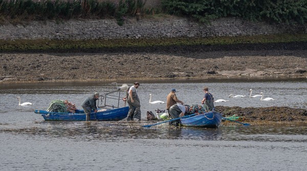 Berick Upon Tweed - Landscapes