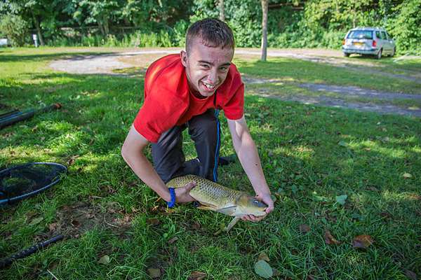 Le Brevedent - miscellaneous