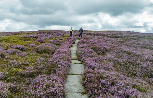 Holmfirth - Landscapes