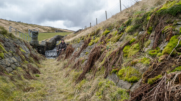 Denshaw - Landscapes