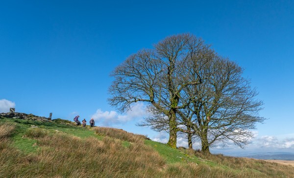 Great Hill Bolton - Landscapes