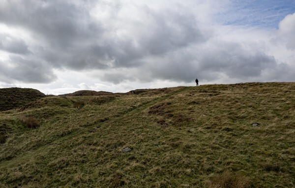 Forest of Bowland - Landscapes