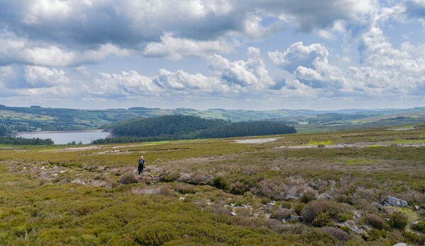 Langsett Moor - Landscapes