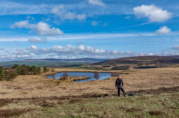 Scorton - Landscapes