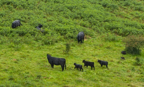 Killington - Landscapes