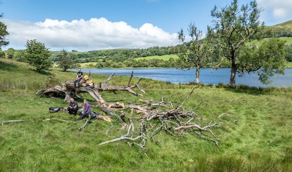 Loweswater - Landscapes